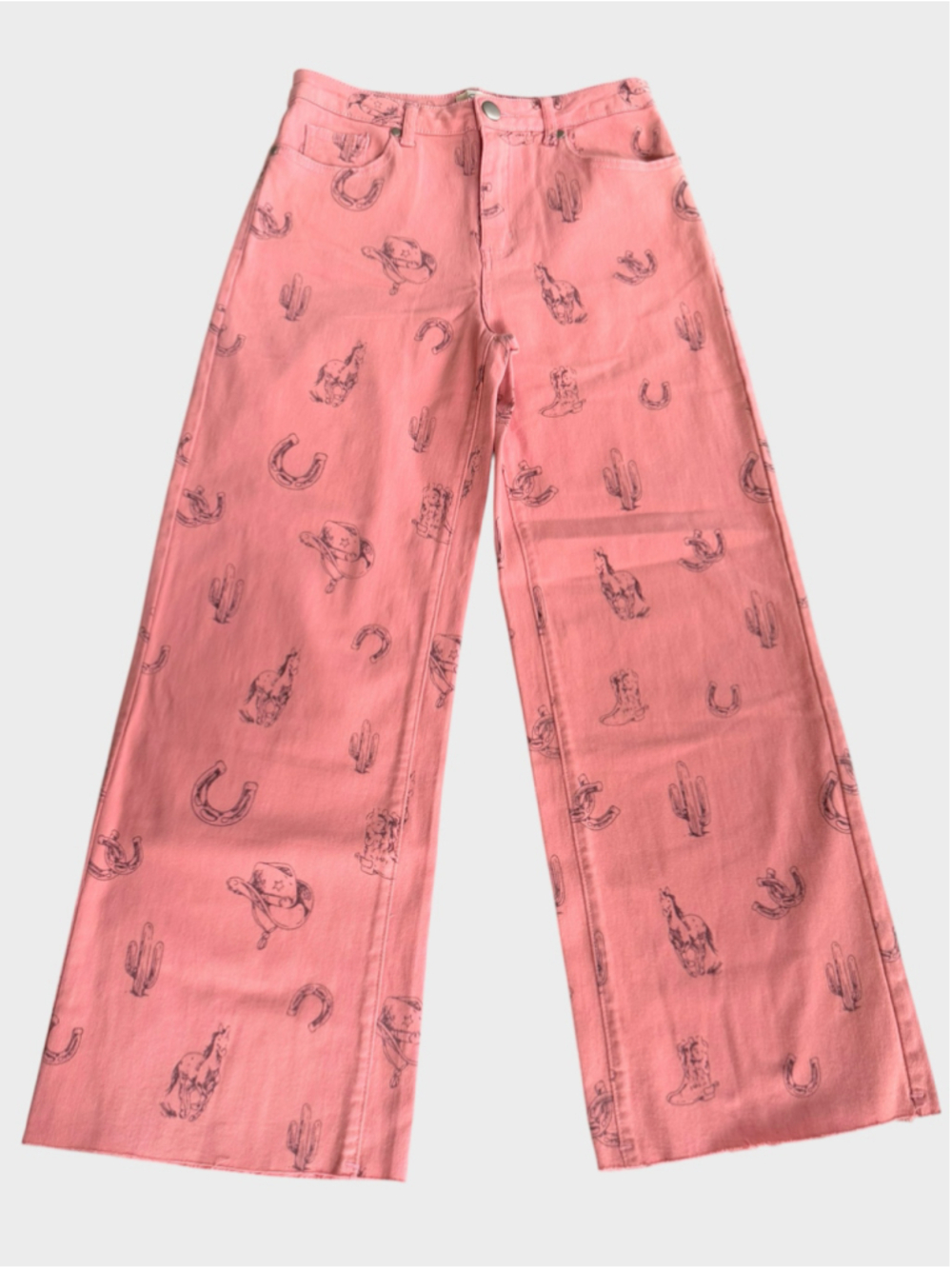 Easel Western Print Twill Pants Size S